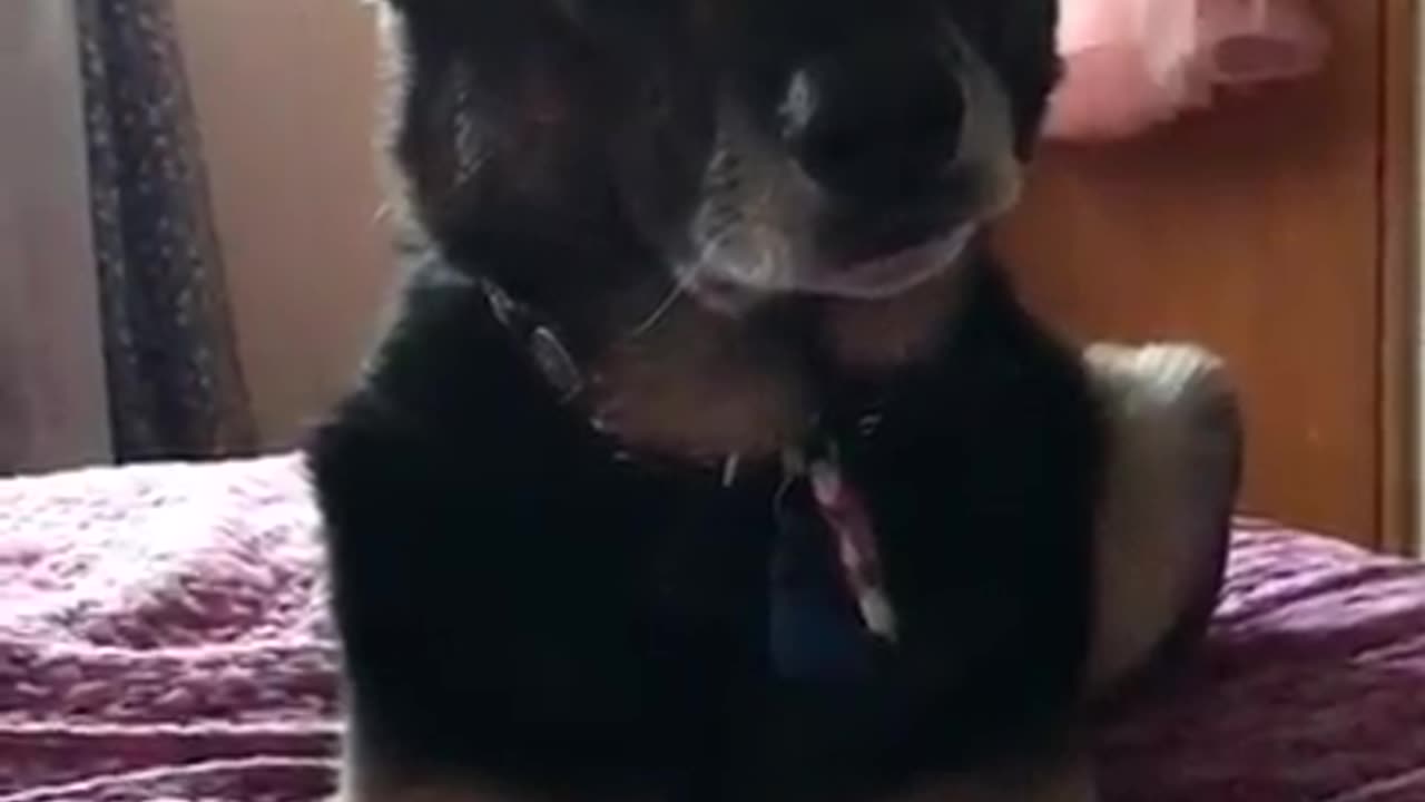 Fiona special times
