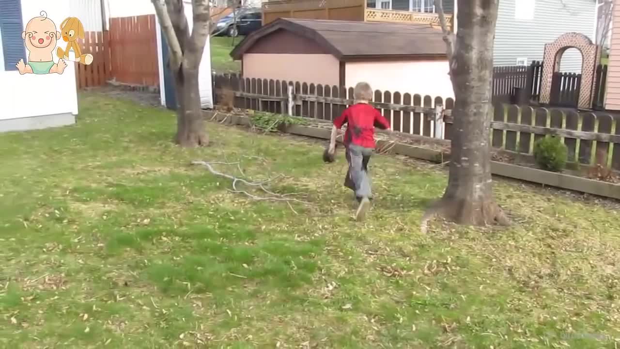 Baby and Bunny Rabbit playing together Compilation