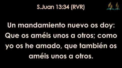 CULTO DIVINO
