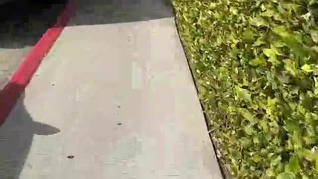 EXPOSING MY CHEATING WIFE!!