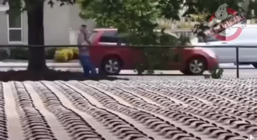 Seattle Zombie 🧟‍♀️ Woman