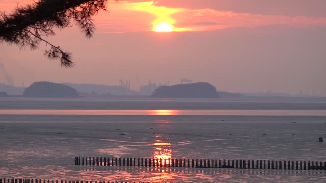 Red sunset and drained sea 7-1