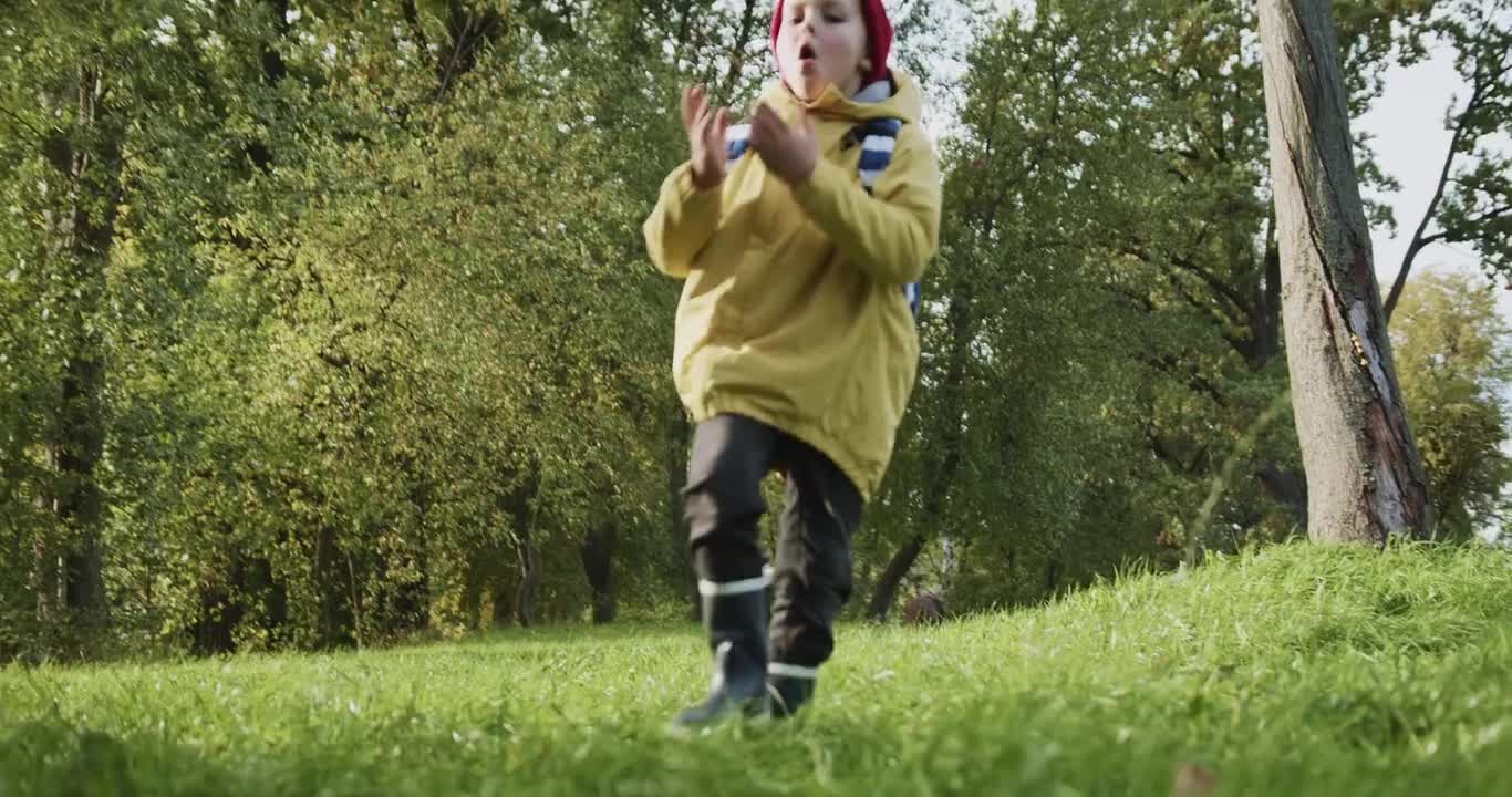 Enjoy playing with the dog in nature