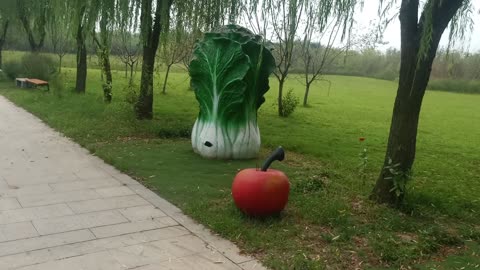 A Chinese cabbage plus a large apple