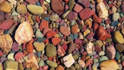 Stepping Into Crystal Clear Water—Looks Like Glass! 🌊💧