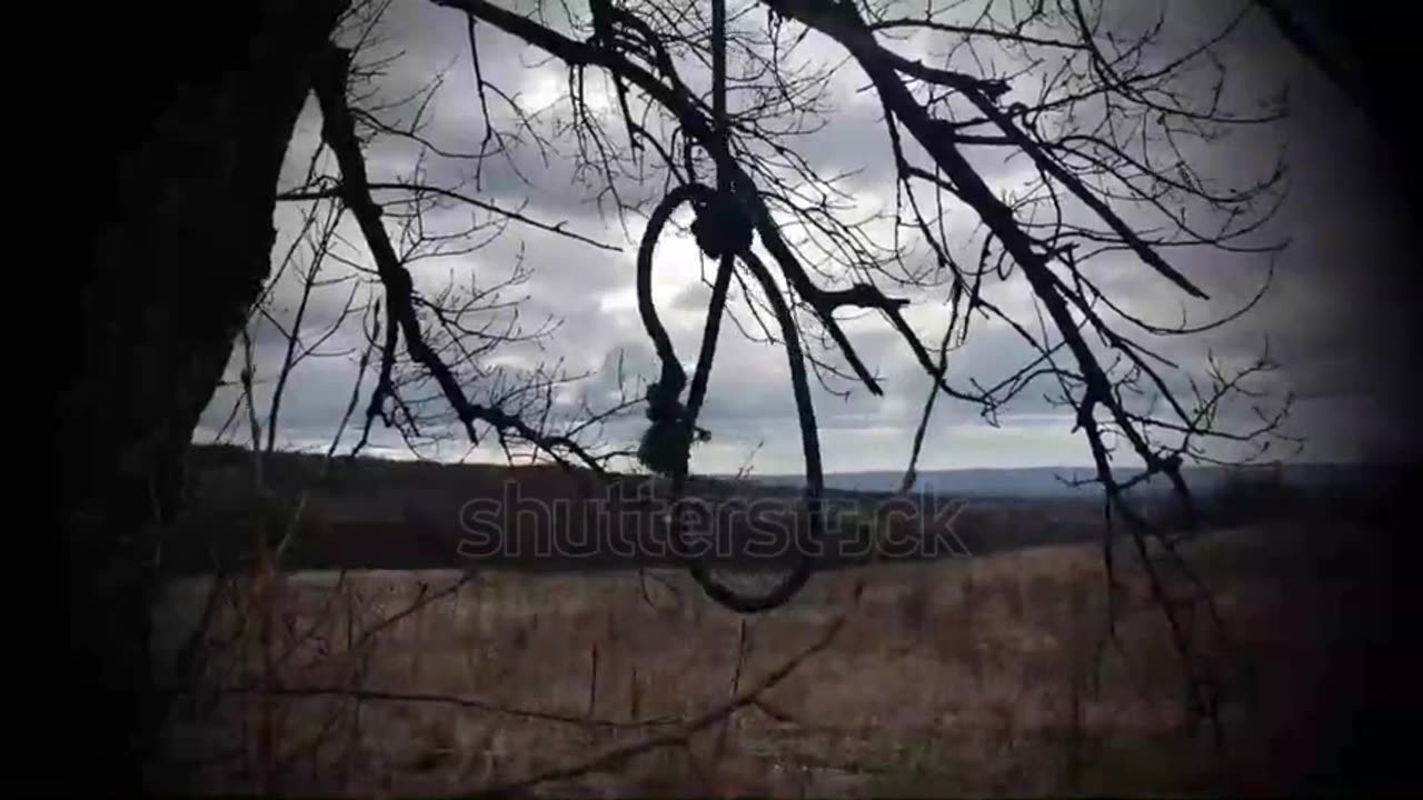 shutterstock - the horror scene of the noose on the tree