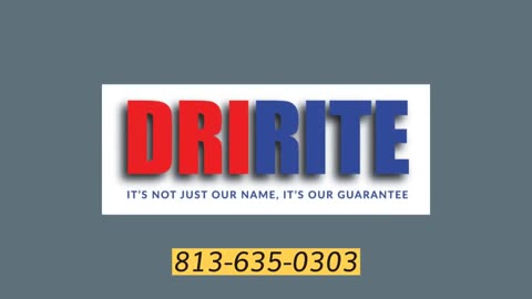 Expert Water Damage Repair & Restoration Services