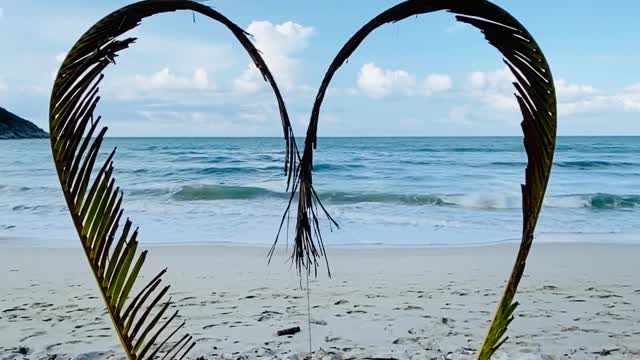 Heart shape Branch in the beaches