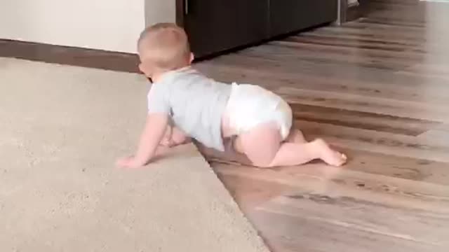 Babies First Roomba Experience