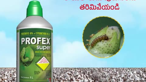 Innovative Herbicides For Sustainable Agriculture in India|NACL