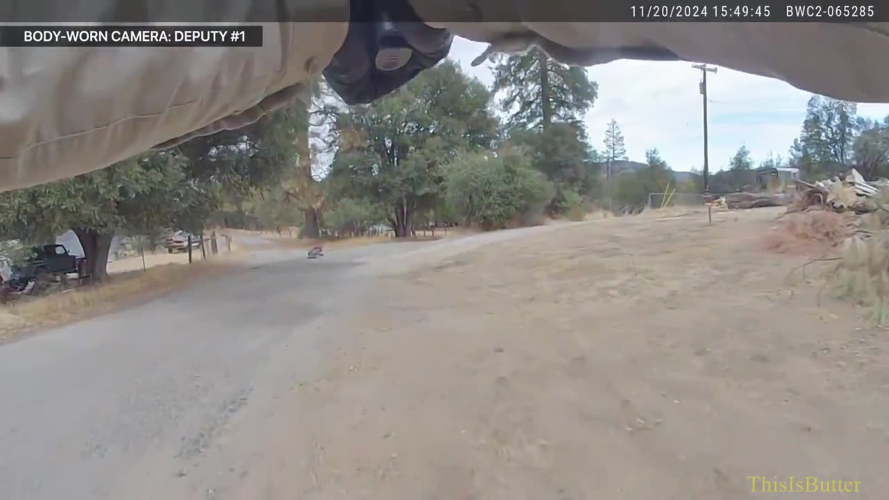 Madera County released bodycam of a shooing that left a K9 injured with shotgun pellets