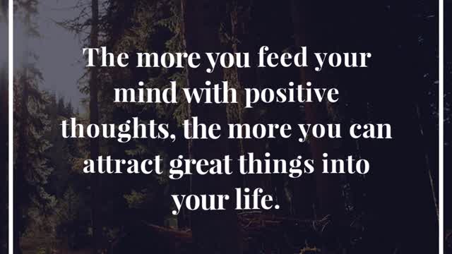 The More You Feed Your Mind