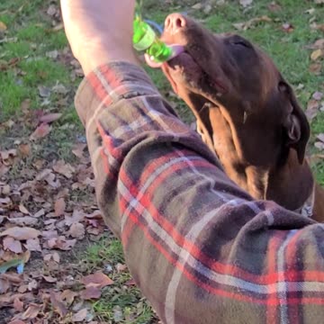 Sunday Funday Budderz Style