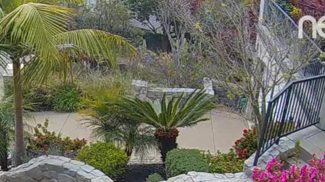 Package Delivery Driver Fails to Handle with Care