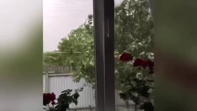 Change of seasons in 2 minutes:)