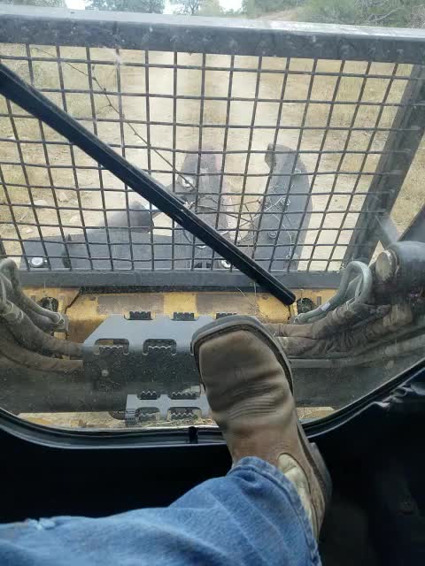 Skid steer tree shears