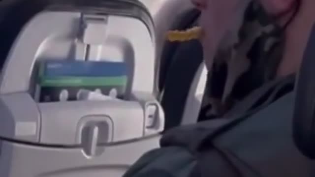 This guy reportedly kept a french fry in his mouth for the entire 1.5 hr flight