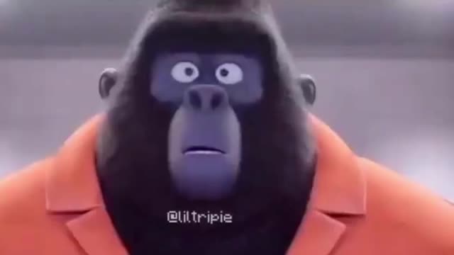 monkey dancing on tv