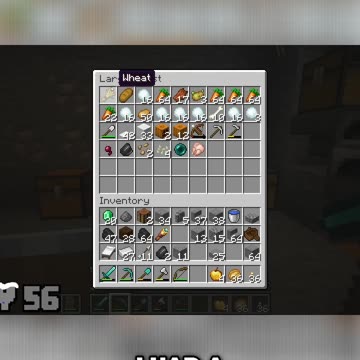 Why I'm Getting a Goat: The Surprising Benefits of Goat Milk