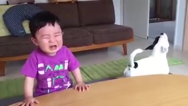 funny videos - Most funny DOG AND KIDS Videos 2021