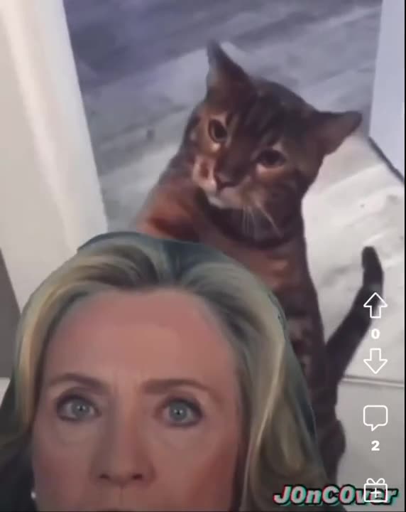 Hillary and a cat