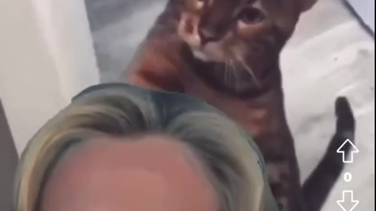 Hillary and a cat