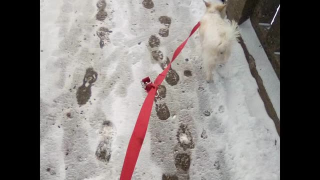 today walk