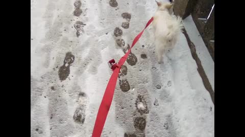today walk