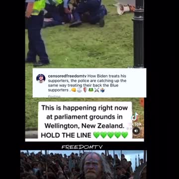 New Zealand parliament 2022