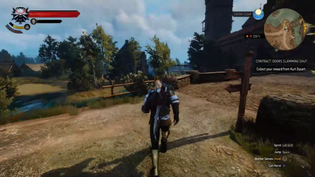 The Witcher 3, Just for fun, Pt.2