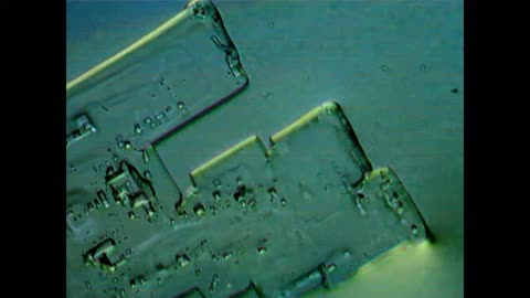 MICROTECNOLOGÍA EN VACUNAS - CLARITO