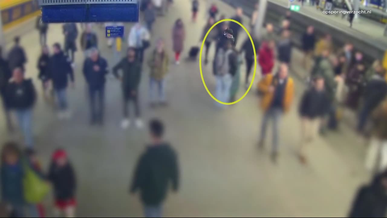 Woman at Utrecht Central Station beaten up