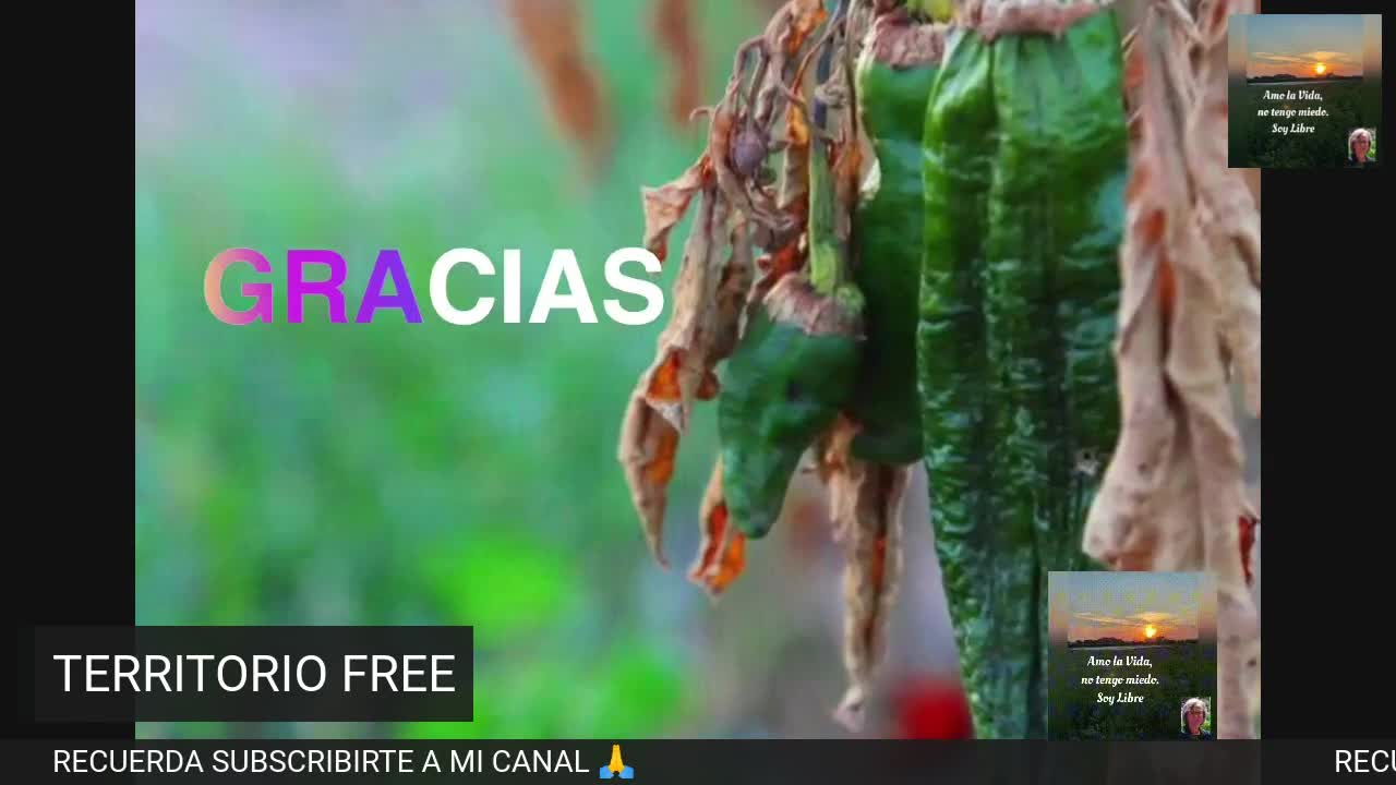 VIAJEROS DEL FUTURO