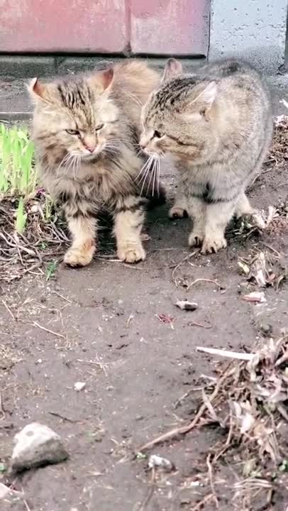 Where have you been for a month