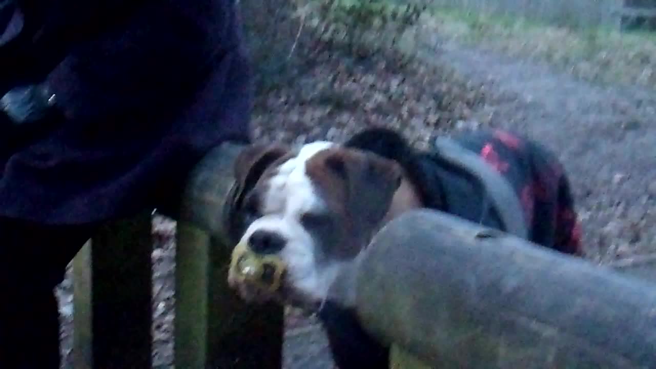 Megs finds a dummy