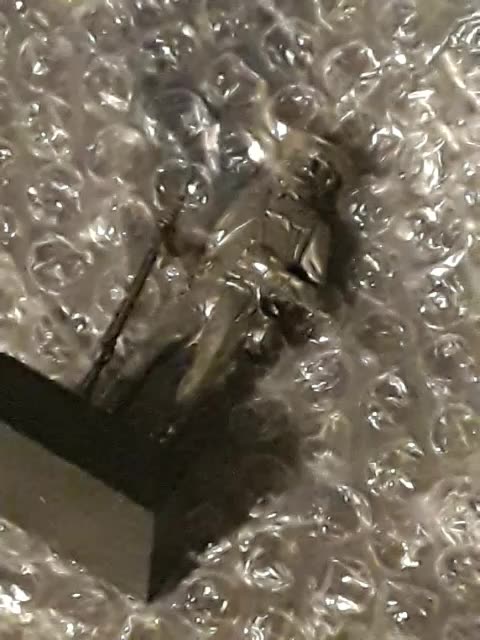 Bubble wrapped just like a Liberal