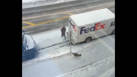 Crazy Turkey Vs Fedex