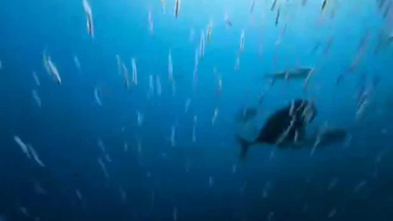 How good 👍 to be there for the night 💕 to be there for the hotel