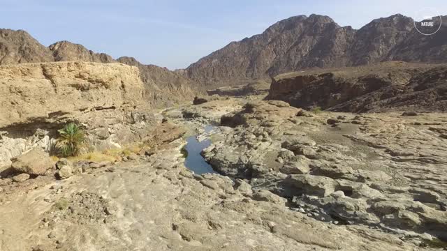 See this beautiful place, a valley between rocks and mountains