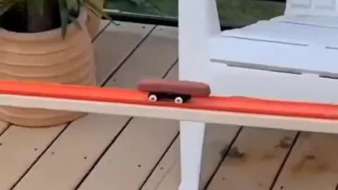 Barbecue Hotdog Roller Coaster