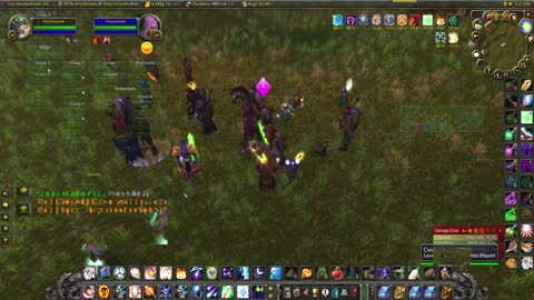 World of Warcraft Classic Shadow healing for a world boss