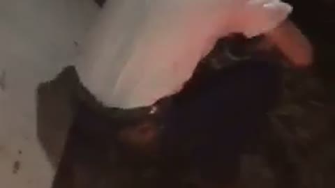 Guy slams into table