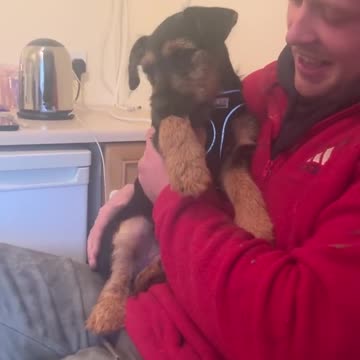 Vocal Pup Makes The Cutest Sounds You''ll Ever Hear