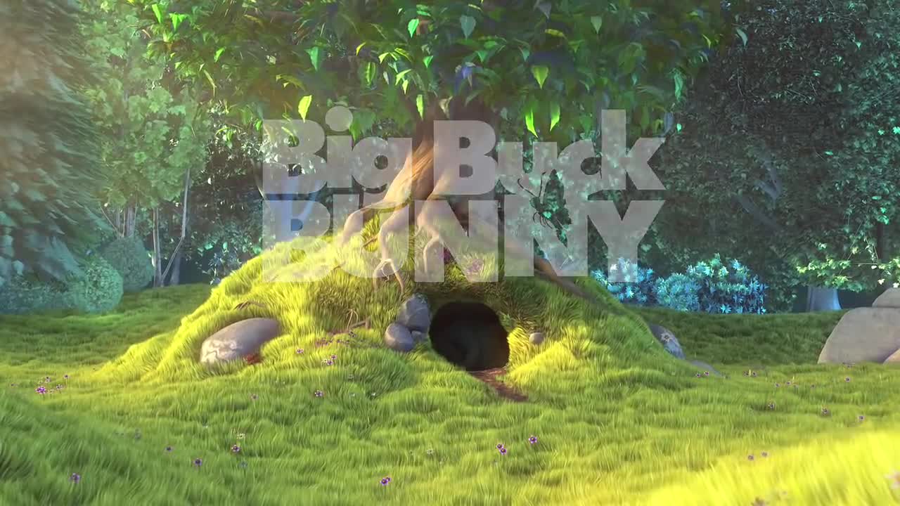 Test VIDEO