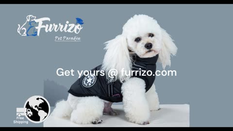 Pet Grooming Equipment