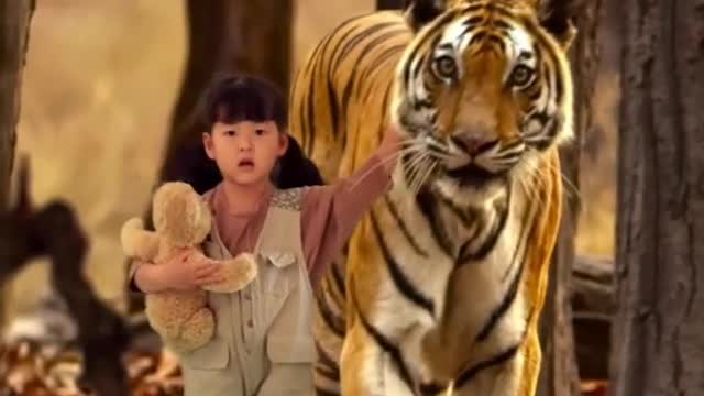 Bueatiful Tiger