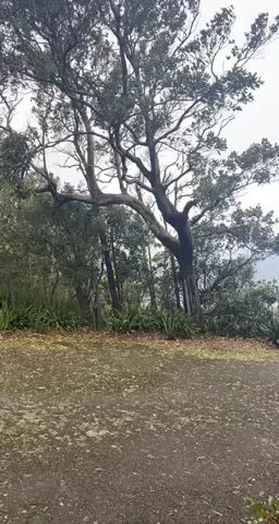 Beautiful Mountain- view Lookout