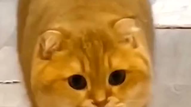 Come here
