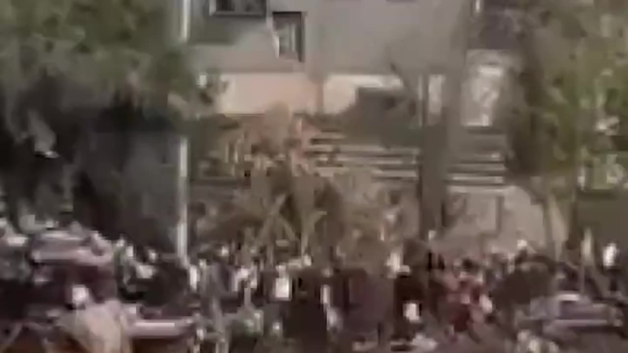 Israel releases video of forcibly displaced Palestinians from Gaza’s north.mp4