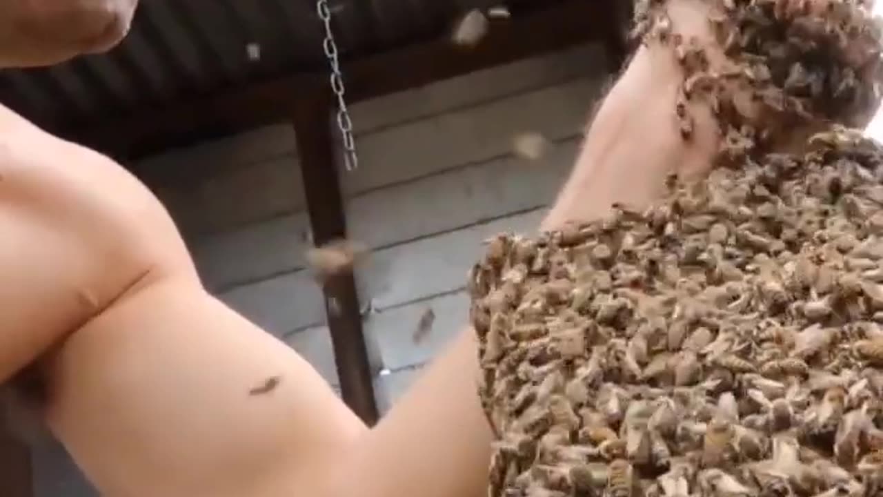 Bees Swarm all over me! #shorts #shortstrending